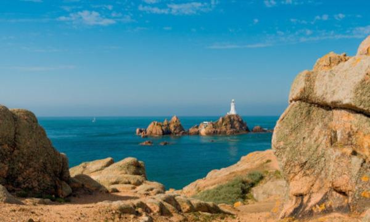 Rural Spanish land for sale showing '900€' price sign and olive groves