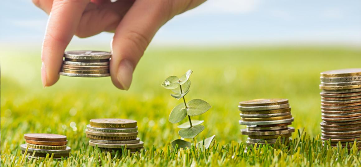 How much money do you need per month