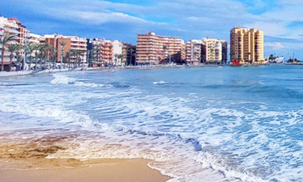Torrevieja coastline with fishing boats, palm-lined promenade and modern skyscrapers