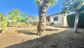 Buy real estate in Torrevieja, Spain. Los Balcones - Los Altos del Edén area, 3 bedrooms, 180 m2 - photo 5