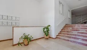Spain Apartment buy. Av. Dr Artero Guirao area, 4 bedrooms, 121 m2 - photo 6