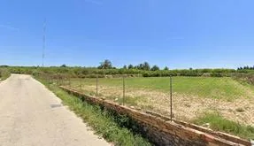 Real estate in Spain, Guardamar del Segura. CAMPO area, - photo 5
