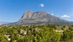 Buy a home in Spain. Balcón de finestrat area, 3 bedrooms, 107 m2 - photo 5