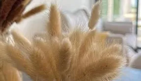 Spain Bungalow buy. Pueblo area, 2 bedrooms, 63 m2 - photo 4