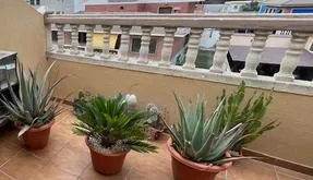 Buy real estate in Guardamar del Segura, Spain. Pueblo area, 3 bedrooms, 86 m² - photo 3