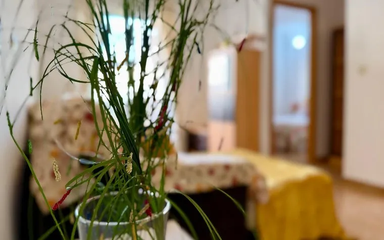 Buy property in Torrevieja, Spain. El Molino area, 2 bedrooms, 74 m²