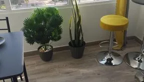 Comprar un Piso en Guardamar del Segura, España. Zona de la Pinomar, 2 dormitorios, 42 m² - photo 2