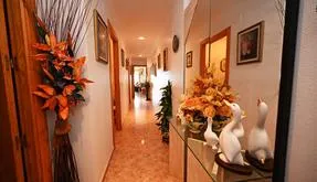 Torrevieja, Spain. Real Estate. La Mata area, 3 bedrooms, 115 m² - photo 5