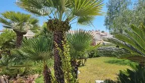 Torrevieja, Spain. Buy an Apartment . Los Balcones - Los Altos del Eden area, 2 bedrooms, 68 m² - photo 5