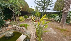 Buy an Town house in Torrevieja, Spain. El chaparral area, 3 bedrooms, 267 m² - photo 3