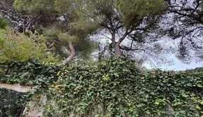 Torrevieja, real estate. Punta Prima area, 3 bedrooms, 107 m² - photo 4