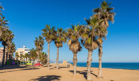 Buy an Penthouse Spain. La Mata pueblo area, 1 bedroom, 32 m2 - photo 1